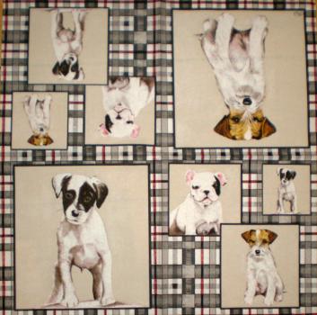 054 Hunde - 3-lagig - Paw